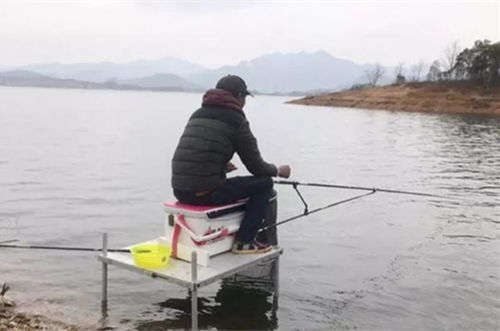 野外钓鱼饵料秘籍，自然、环保、低成本的钓鱼之道