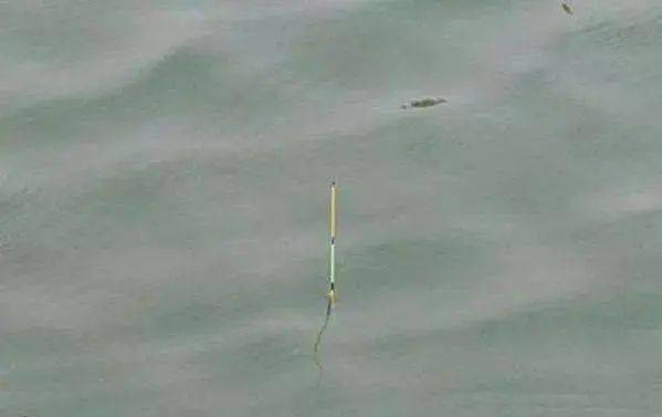 入冬路亚钓鱼饵料全攻略，冬季垂钓的科学配方与实战技巧