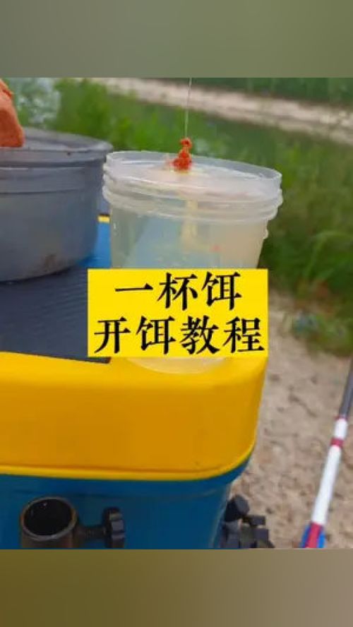 DIY钓鱼饵料模具制作指南，从零开始打造你的专属饵料神器