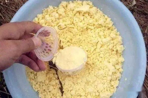 菜仔饼钓鱼饵料的完美配制方法