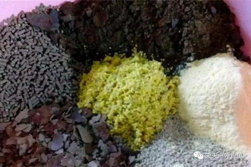 春季钓鱼饵料配方,3月初的完美选择