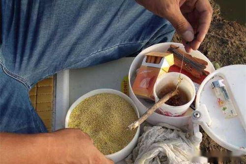 钓鱼饵料怎么调才够粘鱼,专业调制秘籍大公开