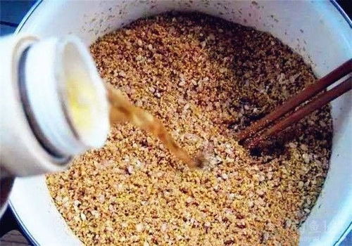 朱姐钓鱼饵料的使用方法详解