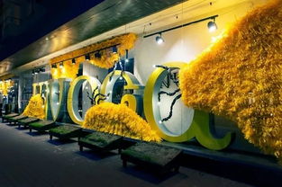 钓鱼饵料橱窗设计,打造视觉冲击力的黄金展示区