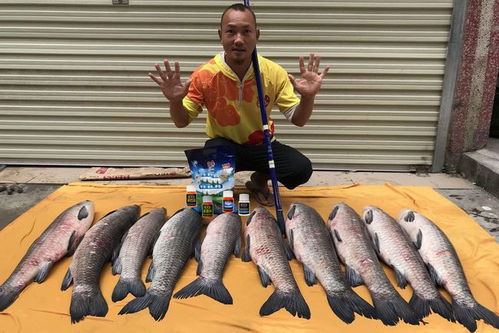 大颗粒钓鱼饵料的制作方法与技巧