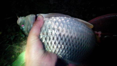 钓鱼人卖鱼饵料怎么样啊?一个钓具店主的转型之路