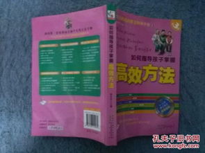 新手钓鱼饵料速成指南,30分钟掌握钓鱼秘籍
