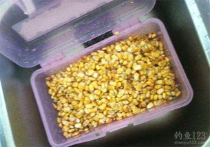 红薯藤,天然饵料,野钓高手的秘密武器