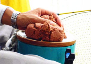 野钓饵料有用吗?这些技巧让你的鱼饵发挥最大功效