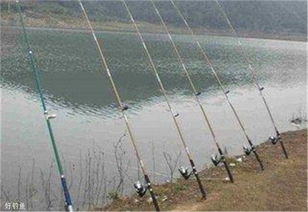 抛竿钓鱼饵料快速装饵技巧,让你的钓鱼效率翻倍!