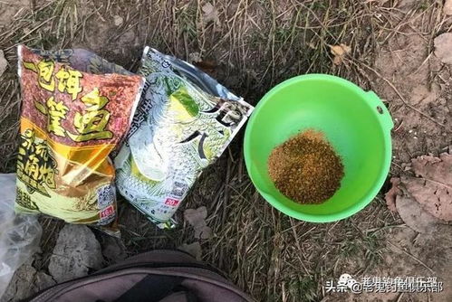 夜钓时饵料加多了怎么办,实用处理指南