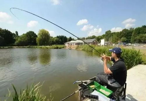 天热黑坑钓鱼饵料怎么配？这5个技巧让你轻松应对高温天气