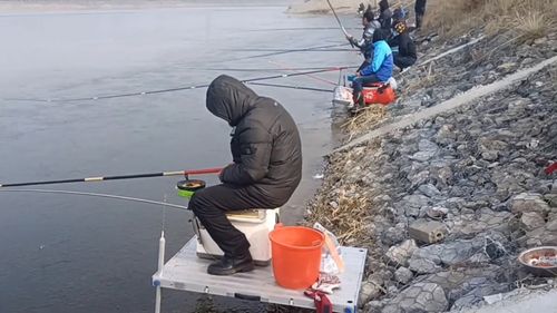 钓鱼饵料使用指南,从制作到实战应用