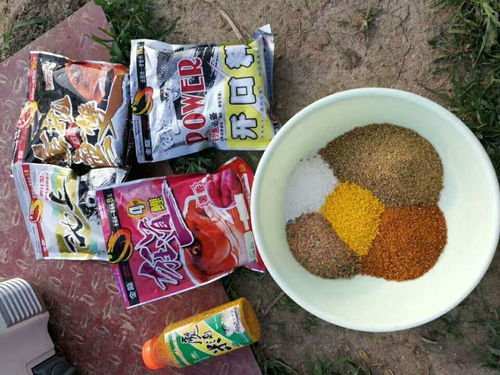 钓鱼饵料怎么用?掌握这些技巧让你成为高手!