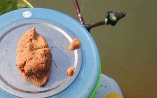 雾化之术,钓鱼饵料快速雾化的秘诀与技巧