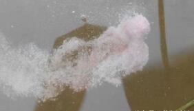 钓鱼饵料易拉丝怎么办?这些原因和解决方法你一定要知道