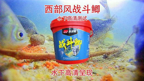 彩虹钓鱼饵料怎么样好用吗?深度评测与使用心得
