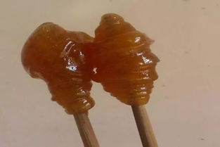 自制钓鱼饵料速熔袋,简单高效,提升钓鱼成功率