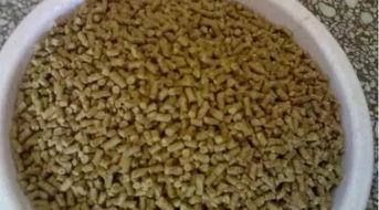 钢石小物钓鱼饵料，掌握这些技巧，鱼获翻倍