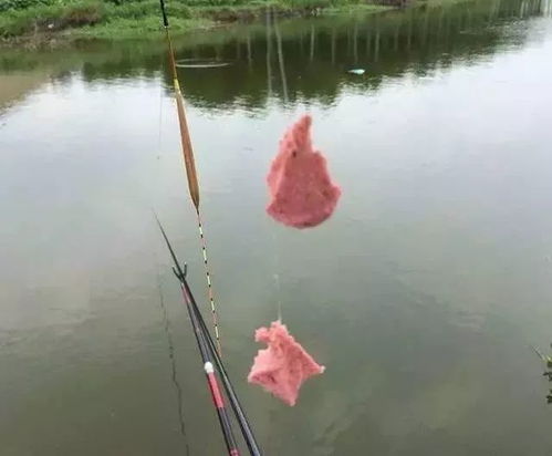 小虾米钓鱼饵料开饵全攻略,从入门到精通