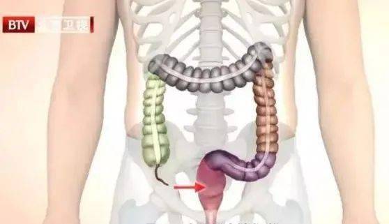 警惕!被钓鱼饵料咬伤后的急救指南