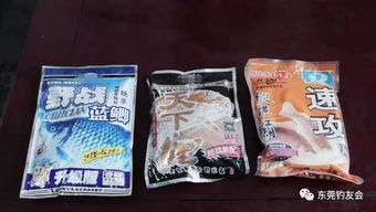 芝士也能钓大鱼?揭秘芝士钓鱼饵料的神奇配方!