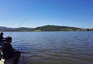 咸水湖钓鱼饵料制作全攻略,从选材到实战应用