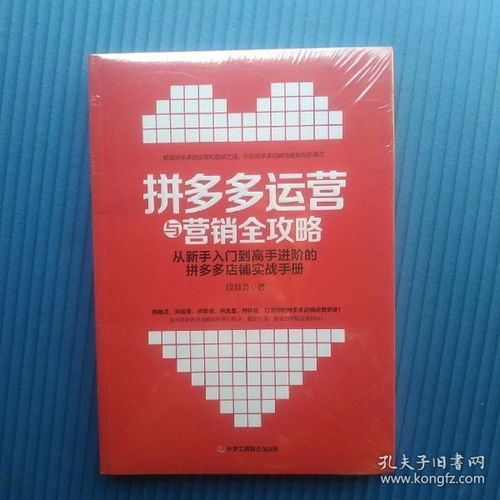 抛杆钓鱼饵料使用全攻略,从新手到高手的进阶指南