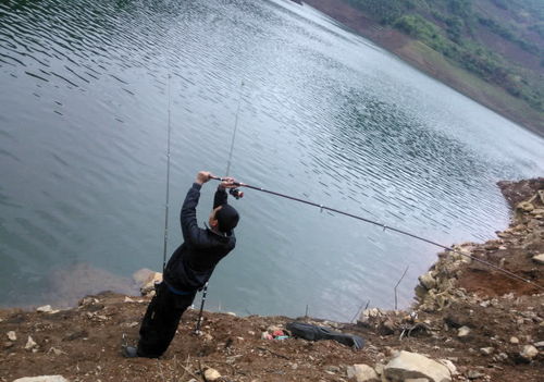 钓鱼饵料抛洒了怎么办,实用处理指南