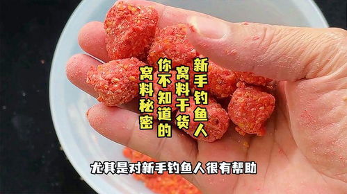 卤虫钓鱼饵料的正确使用方法