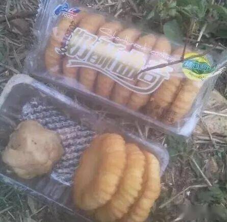 钓鱼饵料到底怎么做好吃?高手分享秘制饵料配方与制作技巧