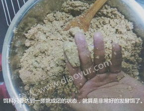 钓大鱼的秘密,自制美味饵料的黄金配方