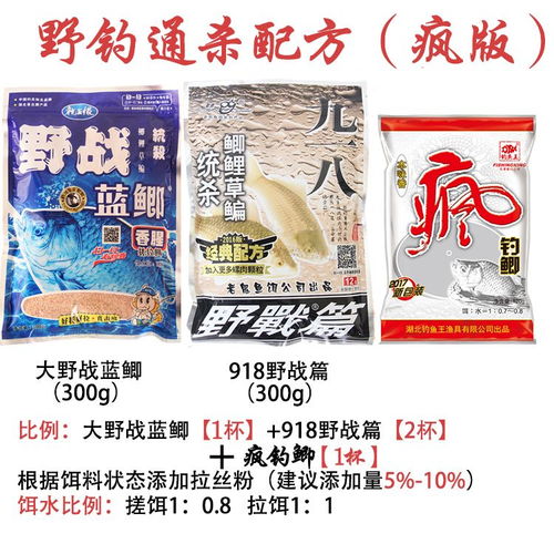 鱼王钓鱼饵料怎么样用，从入门到精通的完整指南