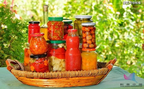 灵珠钓鱼饵料使用全攻略,提升你的垂钓成功率