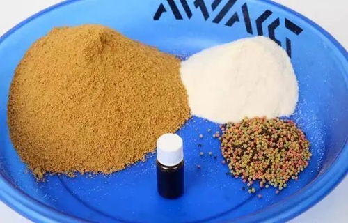 钓鱼饵料没拉丝粉怎么办?这些解决方法你一定要知道!