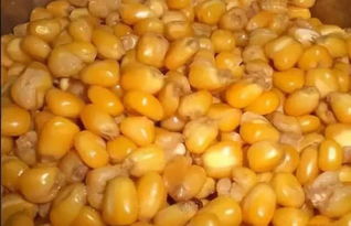 玉米王钓鱼饵料,让传统玉米饵料焕发新生的秘诀