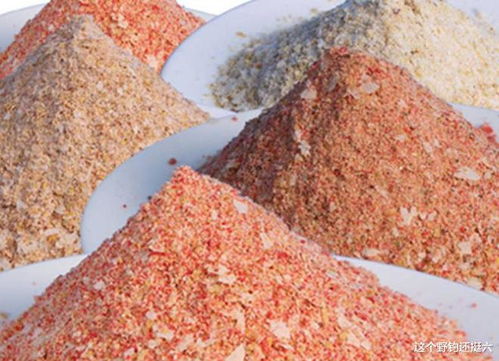 钓鱼饵料特别好怎么办?从购买到使用的全面指南