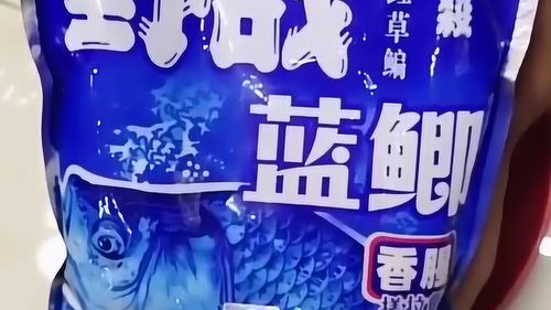 钓鱼饵料怎么调不容易掉?这些技巧让你的鱼饵更持久!