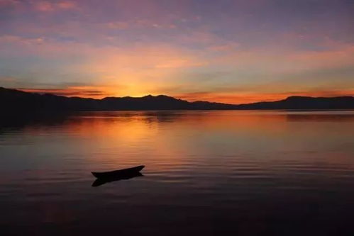 塘子钓鱼饵料怎么样,全面解析与实用技巧