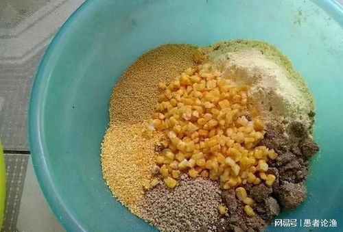 钓鱼饵料溶散太快怎么办