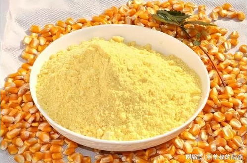 钓鱼饵料配方小球藻怎么用,提升诱鱼效果的天然选择