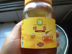 揭秘!钓鱼饵料摇三摇的黄金配方及使用技巧