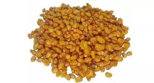 钓鱼饵料大集合怎么做