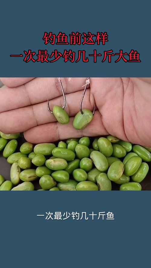 浮萍塘钓鱼饵料配方秘方,自制诱饵全攻略