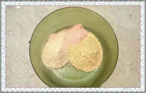 钓鱼饵料的制作方法,从零开始的DIY指南