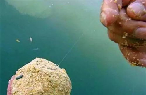 黑雕饵料实战应用全攻略,从新手到高手的必看视频教程