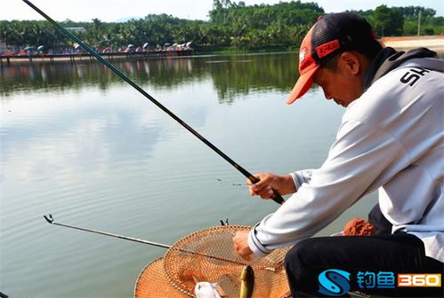 手竿钓鱼饵料沉底怎么办?这些实用技巧让你轻松应对