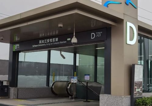 阿平钓鱼饵料使用方法详解