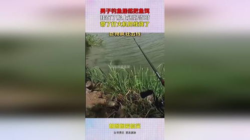 振山野钓饵料深度评测,实战表现与用户口碑全解析