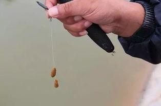 抛竿钓鱼饵料怎么装上去,从新手到高手的完整指南